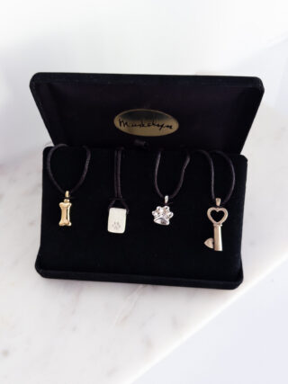 Pet Display Set of 4